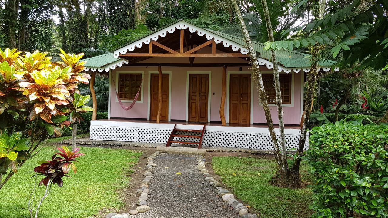 Ciudad Perdida Ecolodge Cahuita Ngoại thất bức ảnh
