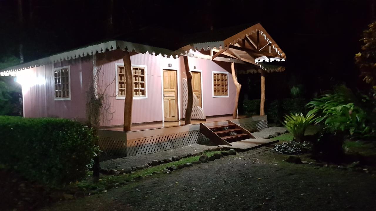 Ciudad Perdida Ecolodge Cahuita Ngoại thất bức ảnh